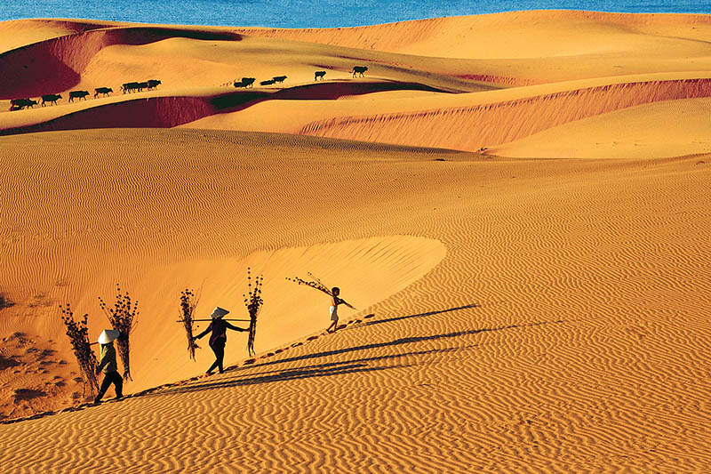 A Complete Guide to Explore Mui Ne Sand Dunes